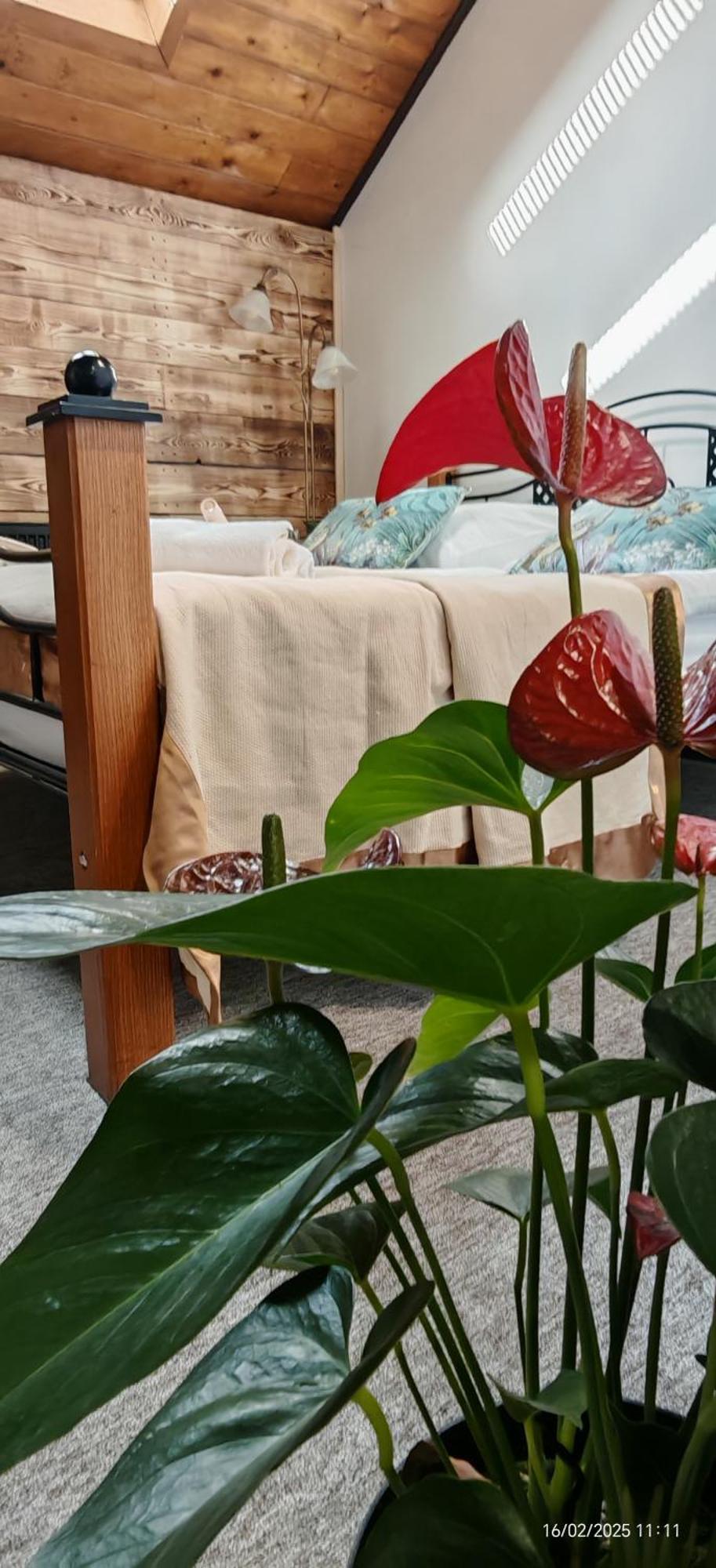 Hotel Plzensky Dvur Frýdek-Místek Екстериор снимка